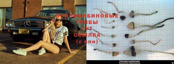 ECSTASY Алексеевка